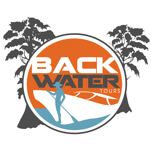 backwater logo_color
